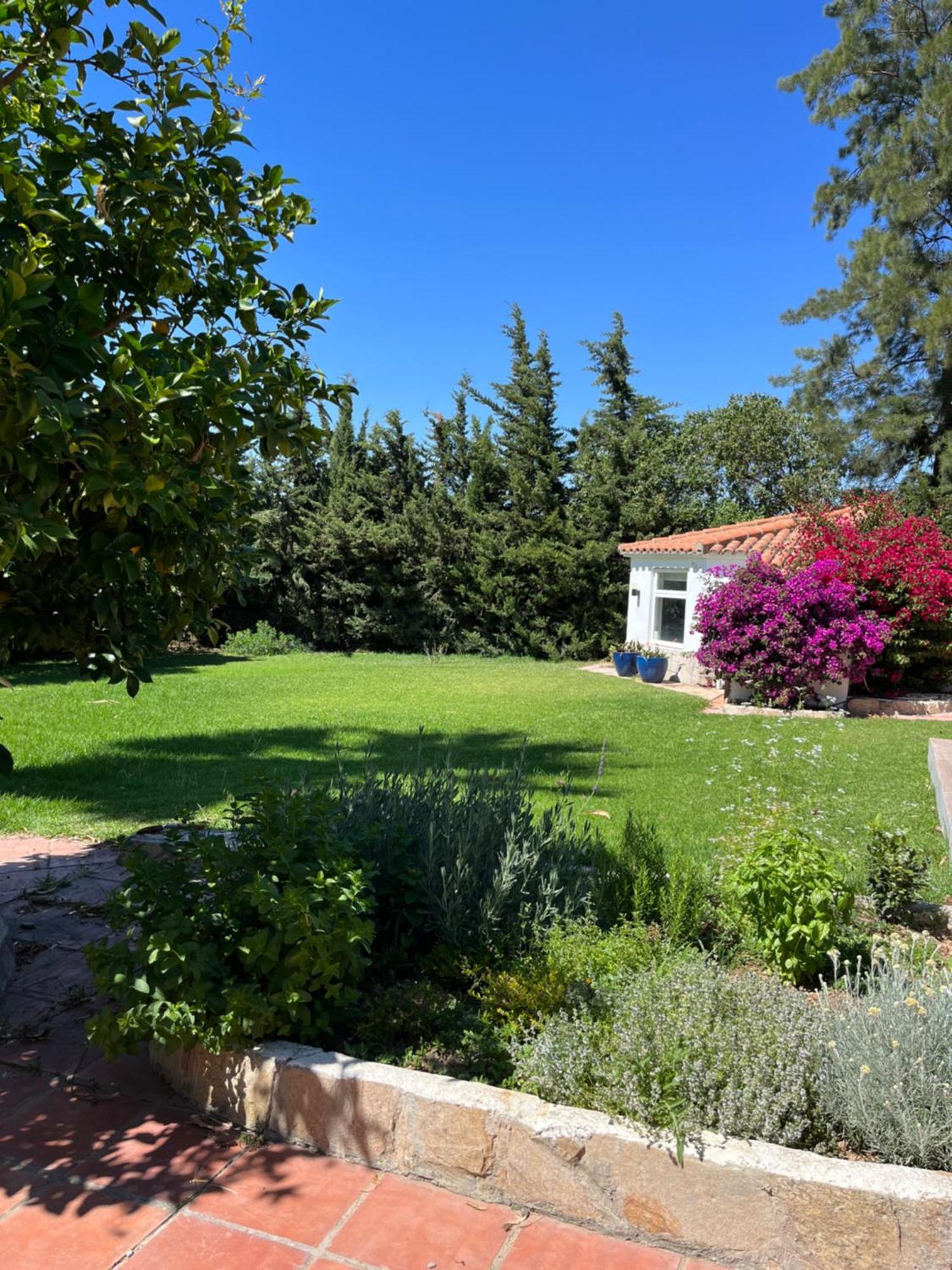 Arriba Stijlvol Met Zwembad En Tuin Apartment Conil De La Frontera