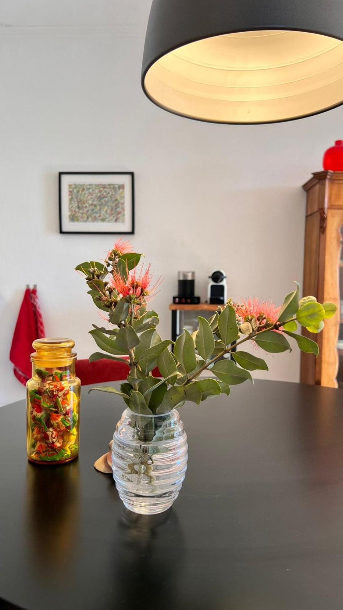 Arriba Stijlvol Met Zwembad En Tuin Appartement