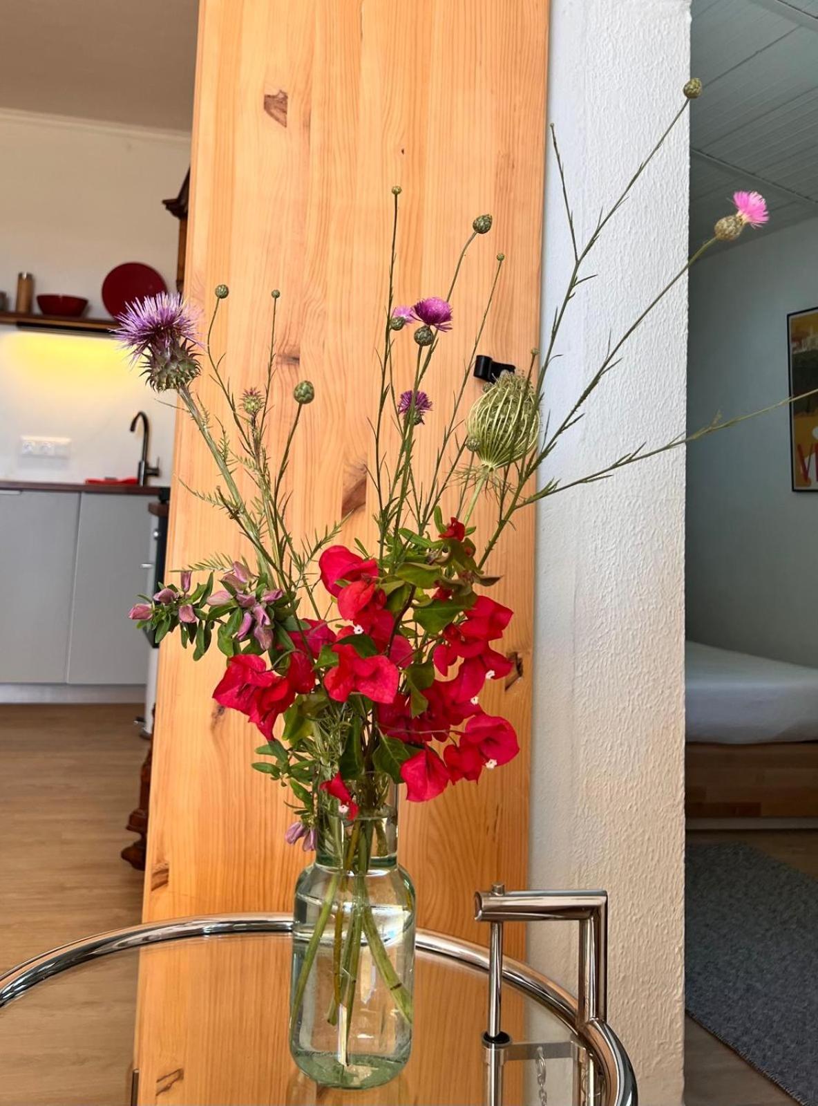 Appartement Arriba Stijlvol Met Zwembad En Tuin Conil De La Frontera